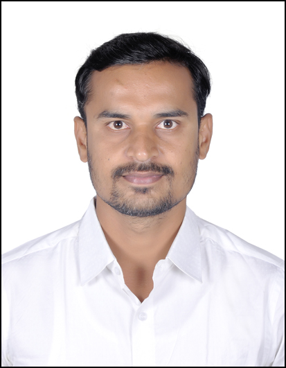 Dr. Dr. Prabhulinga  Tenguri